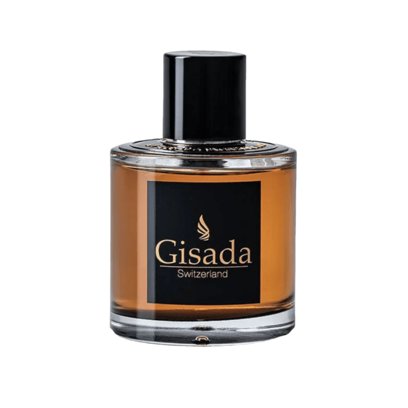 ambassador-men-gisada-com-1